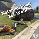 Neighborhood ZOO Walk!